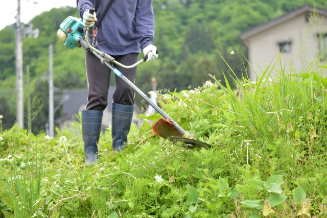 磐田市で草刈りに最適な年3回の時期～楽に草刈りを終えるコツまで徹底解説